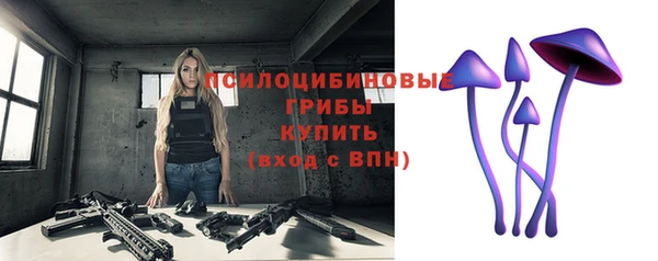 спайс Козельск
