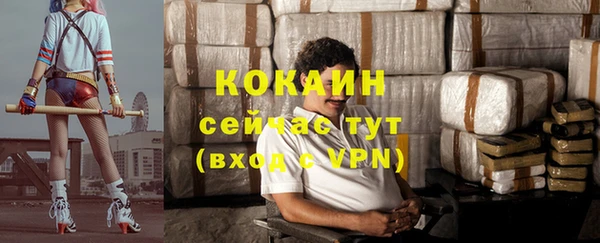 стаф Козловка