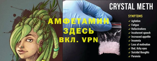 сатива Кинешма