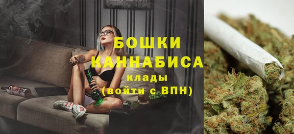 молекула духа Краснослободск