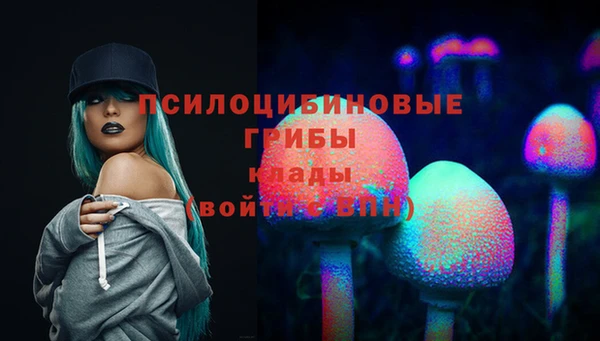 молекула духа Краснослободск